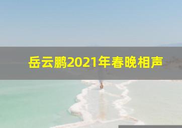 岳云鹏2021年春晚相声