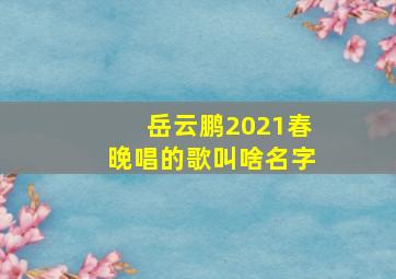 岳云鹏2021春晚唱的歌叫啥名字