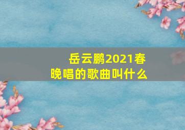 岳云鹏2021春晚唱的歌曲叫什么