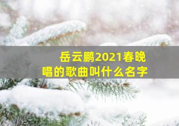 岳云鹏2021春晚唱的歌曲叫什么名字