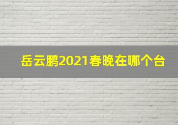 岳云鹏2021春晚在哪个台