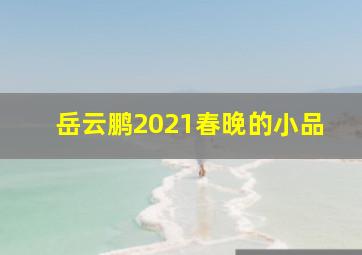 岳云鹏2021春晚的小品