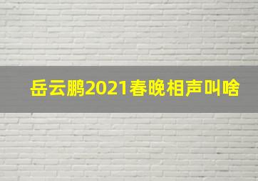 岳云鹏2021春晚相声叫啥