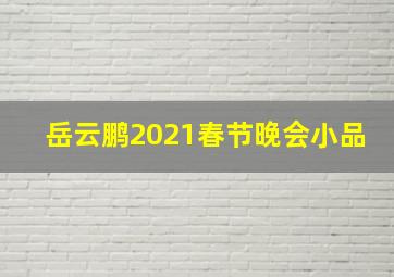 岳云鹏2021春节晚会小品