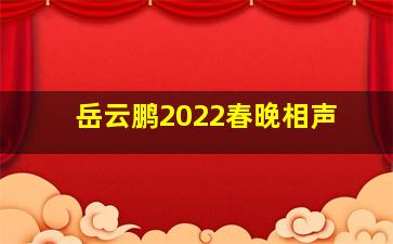 岳云鹏2022春晚相声