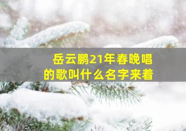 岳云鹏21年春晚唱的歌叫什么名字来着