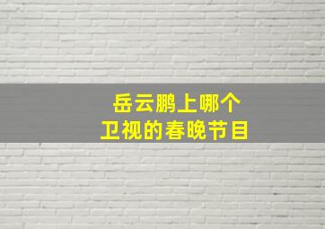 岳云鹏上哪个卫视的春晚节目