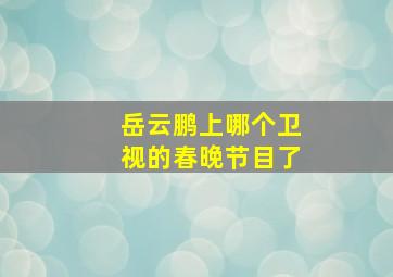 岳云鹏上哪个卫视的春晚节目了