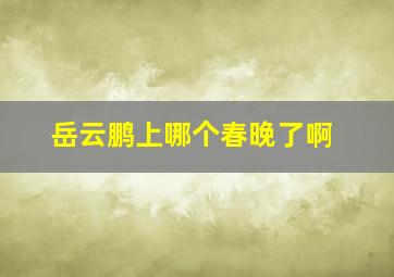 岳云鹏上哪个春晚了啊