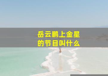 岳云鹏上金星的节目叫什么