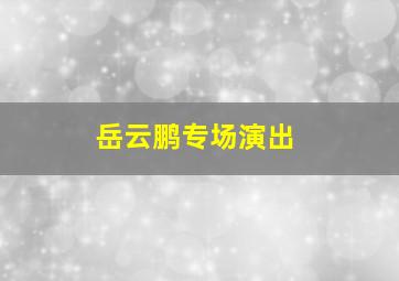 岳云鹏专场演出