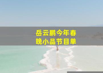 岳云鹏今年春晚小品节目单