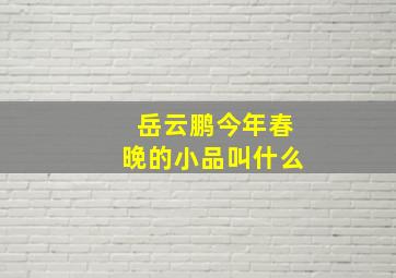 岳云鹏今年春晚的小品叫什么