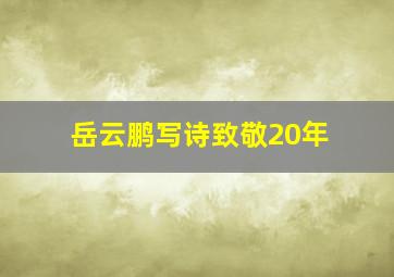 岳云鹏写诗致敬20年