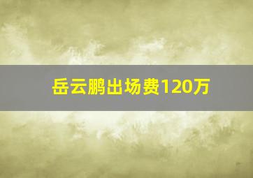 岳云鹏出场费120万