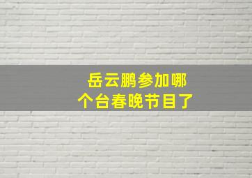 岳云鹏参加哪个台春晚节目了