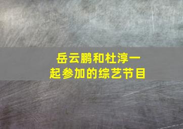 岳云鹏和杜淳一起参加的综艺节目