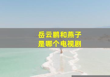 岳云鹏和燕子是哪个电视剧