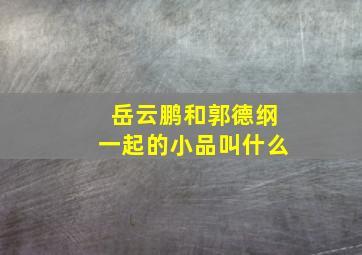 岳云鹏和郭德纲一起的小品叫什么