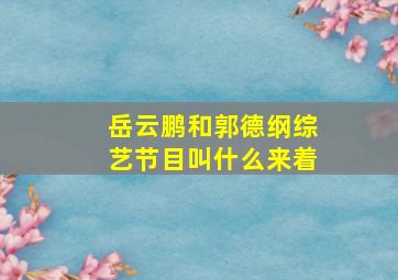 岳云鹏和郭德纲综艺节目叫什么来着