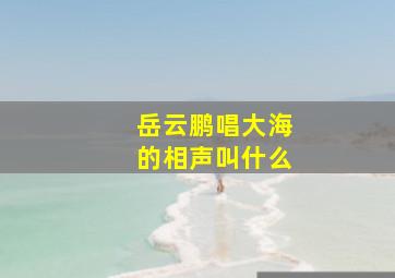 岳云鹏唱大海的相声叫什么