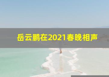 岳云鹏在2021春晚相声