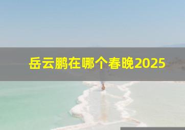 岳云鹏在哪个春晚2025