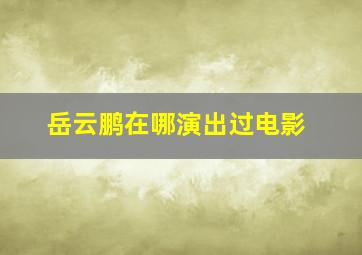 岳云鹏在哪演出过电影