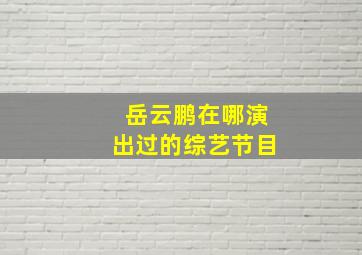 岳云鹏在哪演出过的综艺节目