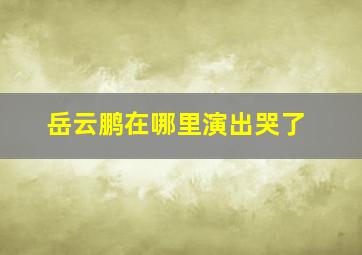 岳云鹏在哪里演出哭了