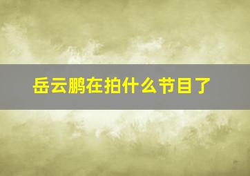 岳云鹏在拍什么节目了