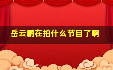 岳云鹏在拍什么节目了啊