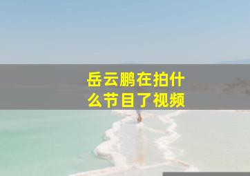 岳云鹏在拍什么节目了视频