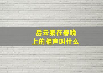 岳云鹏在春晚上的相声叫什么