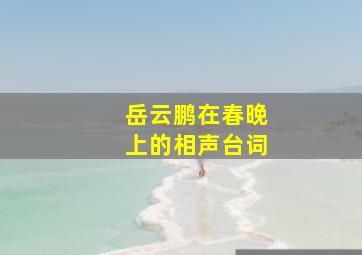 岳云鹏在春晚上的相声台词