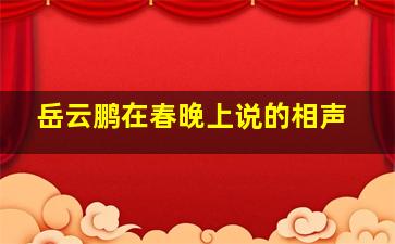 岳云鹏在春晚上说的相声