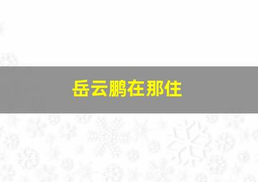 岳云鹏在那住