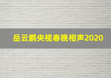 岳云鹏央视春晚相声2020