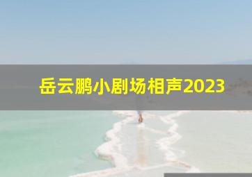 岳云鹏小剧场相声2023