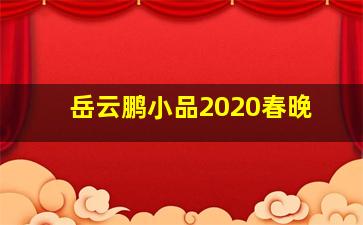 岳云鹏小品2020春晚