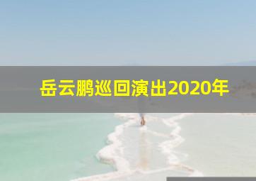 岳云鹏巡回演出2020年