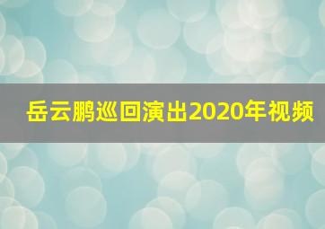 岳云鹏巡回演出2020年视频