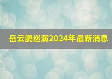 岳云鹏巡演2024年最新消息