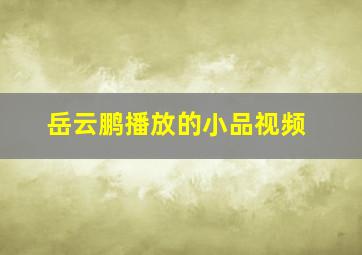 岳云鹏播放的小品视频