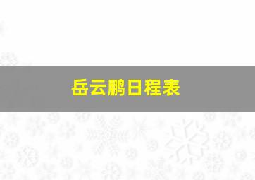 岳云鹏日程表