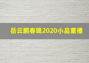 岳云鹏春晚2020小品重播