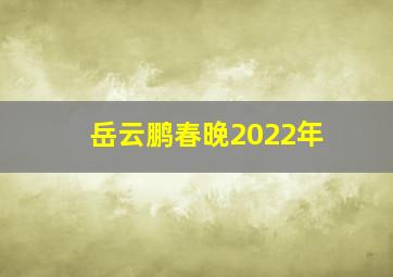 岳云鹏春晚2022年