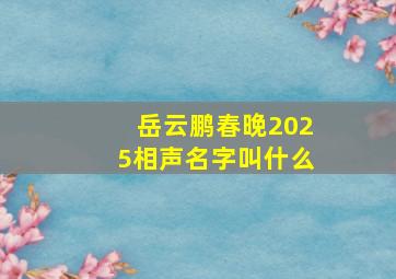 岳云鹏春晚2025相声名字叫什么