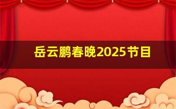 岳云鹏春晚2025节目