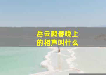 岳云鹏春晚上的相声叫什么